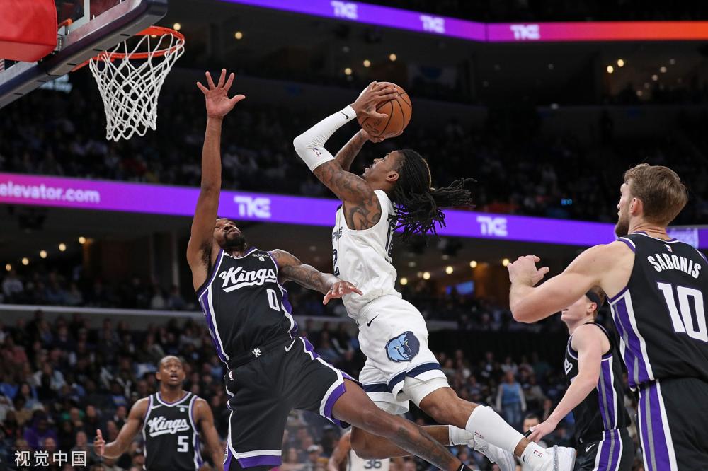 8号种子 8号种子