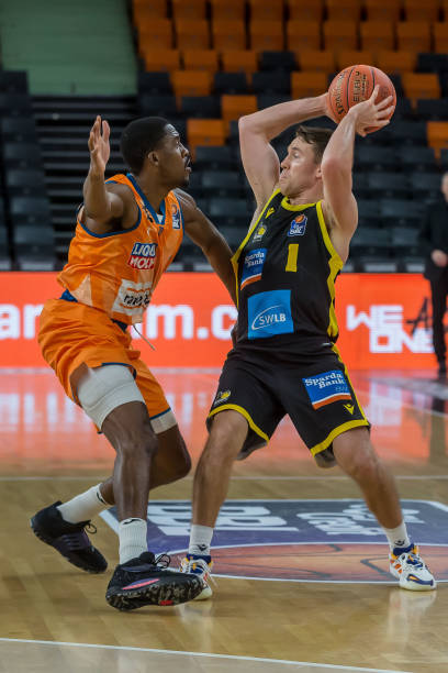 仅仅体现在 仅仅体现在